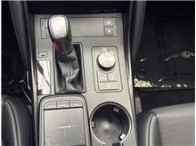 Vehicle Thumb #20