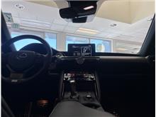 Vehicle Thumb #31
