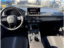 Vehicle Thumb #8