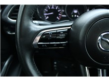 Vehicle Thumb #11