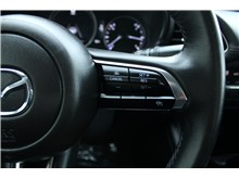 Vehicle Thumb #12