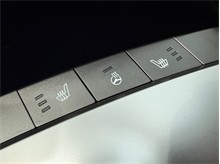Vehicle Thumb #42