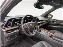 Vehicle Thumb #10