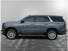 Vehicle Thumb #2