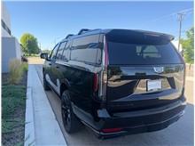 Vehicle Thumb #46