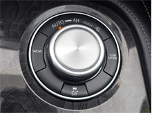 Vehicle Thumb #45