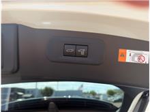 Vehicle Thumb #20