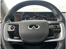 Vehicle Thumb #17