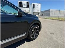 Vehicle Thumb #8