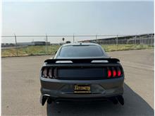 Vehicle Thumb #10