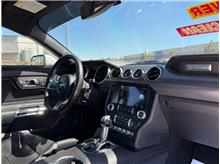 Vehicle Thumb #11