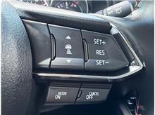 Vehicle Thumb #18