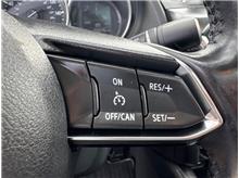 Vehicle Thumb #18