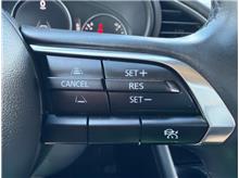 Vehicle Thumb #18