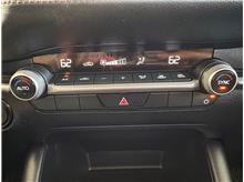 Vehicle Thumb #24