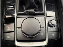 Vehicle Thumb #26