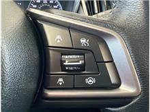 Vehicle Thumb #18