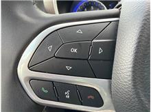 Vehicle Thumb #18