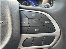 Vehicle Thumb #19