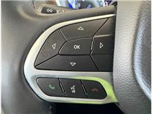 Vehicle Thumb #18