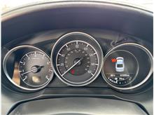 Vehicle Thumb #16