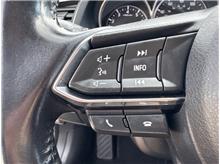 Vehicle Thumb #17