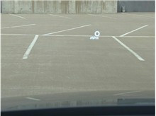 Vehicle Thumb #21