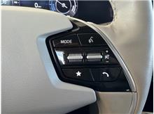 Vehicle Thumb #19