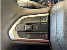 Vehicle Thumb #17