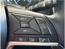 Vehicle Thumb #19