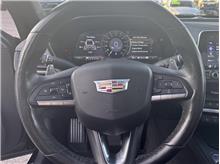 Vehicle Thumb #11