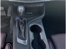 Vehicle Thumb #13