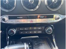 Vehicle Thumb #20