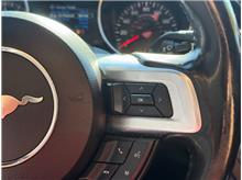 Vehicle Thumb #19