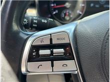 Vehicle Thumb #23