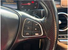 Vehicle Thumb #19