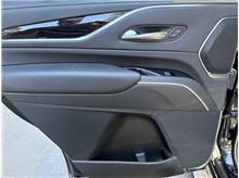 Vehicle Thumb #12