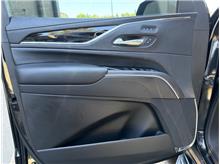 Vehicle Thumb #9