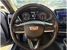 Vehicle Thumb #13