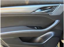 Vehicle Thumb #19