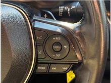 Vehicle Thumb #18