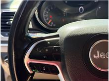 Vehicle Thumb #21
