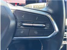 Vehicle Thumb #16