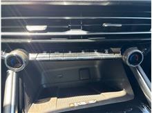 Vehicle Thumb #18