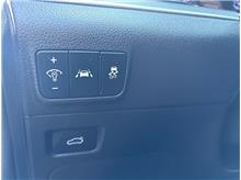 Vehicle Thumb #21
