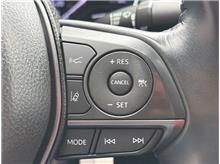 Vehicle Thumb #18