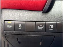Vehicle Thumb #20
