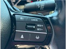 Vehicle Thumb #20