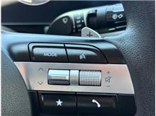 Vehicle Thumb #21
