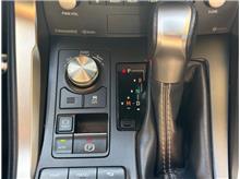 Vehicle Thumb #18